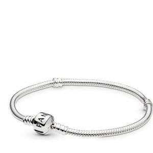 Moments Snake Chain Bracelet